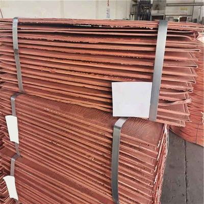 Alloy or Not Get Your Customized 600mm Thickness Copper Plate Sheet 99.9% Brass from Us